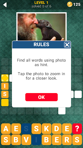 132 Photo Crosswords