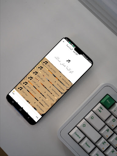 ابو الشوق 2026