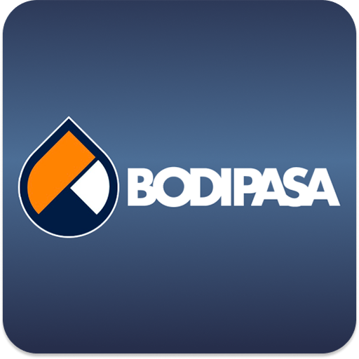 Catálogo de peças Bodipasa logo
