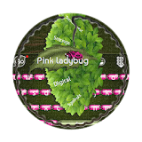 Pink ladybug GO Keyboard icon