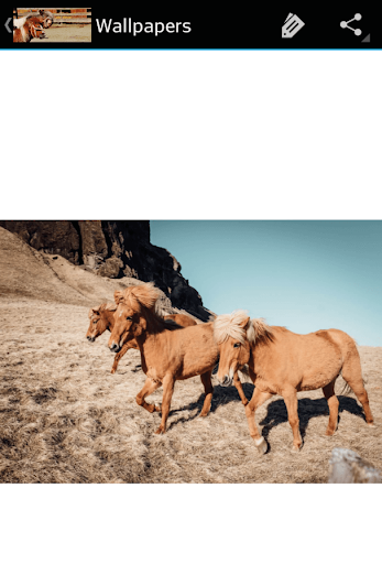 horse pictures Screen 3