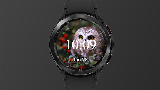 Screenshot image