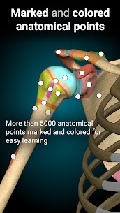 Anatomy Learning 3D Anatomy v2.1.351 Mod Apk (Full Unlocked) Free For Android 3