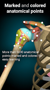 Anatomy Learning-3D Anatomy Atlas MOD APK v2.1.374 (Full version Unlocked) Gallery 2