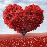 Heart Tree Love icon