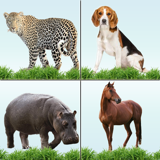 Animal Memory Matching Game logo