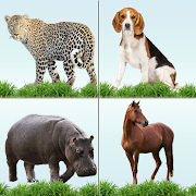 Top 36 Puzzle Apps Like Animal Memory Matching Game - Best Alternatives
