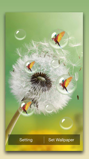 Dandelion Live Wallpaper Screen 2