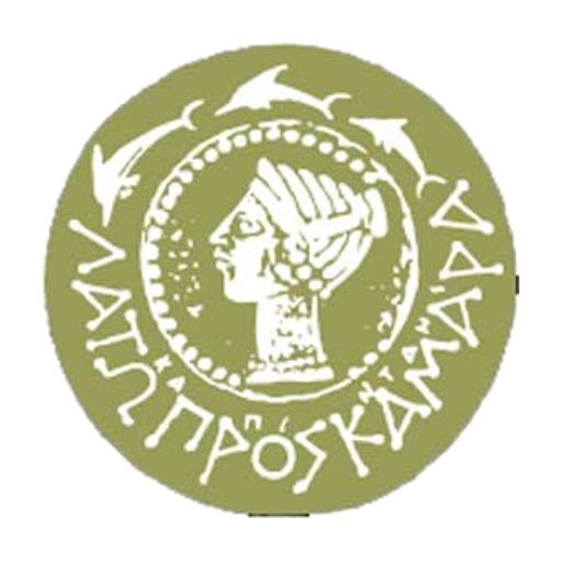 Δημότης Αγίου Νικολάου  Icon