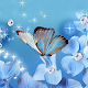 Butterfly Live Wallpaper Download on Windows