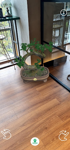 Bonsai AR Screen 3