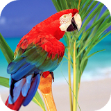 PARROT Wallpapers v2 icon