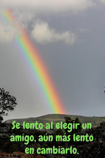 Frases de Amistad de Amigos.