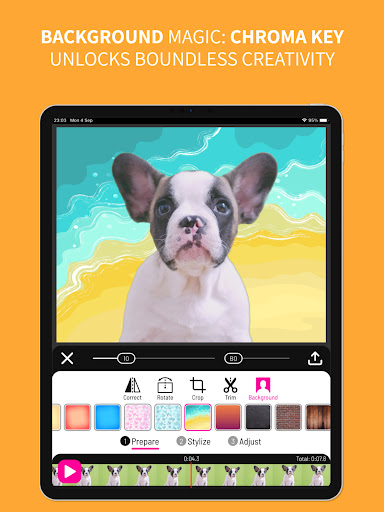 Toonita Video: Pop Art Filters Screenshot
