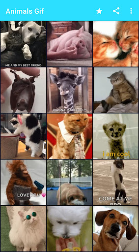 Android application Animals GIFs screenshort
