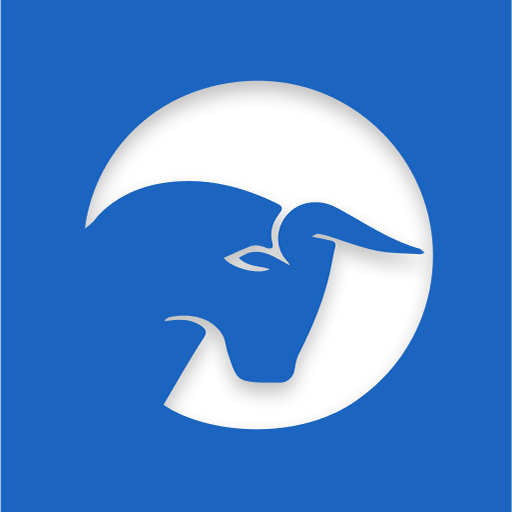 Live Traders logo