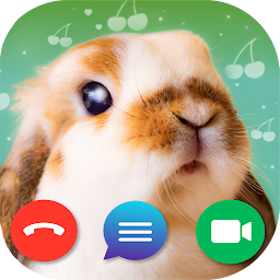Fake Call: Bunny Mod Apk