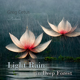 Obraz ikony: Light Rain in Deep Forest: Nature Sounds for Relaxation