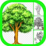 How To Draw Tree icon