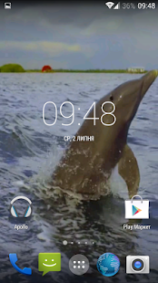 Dolphin 3d. Video Wallpaper