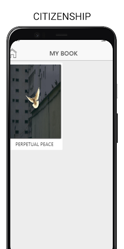 PERPETUAL PEACE Screen 3