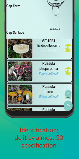 Mushroom Hunters Guide Screen 2