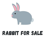 Cover Image of Download Rabbit For Sale  APK