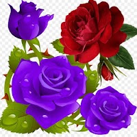Flowers and Roses Live Wallpaper Gif App