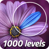🔍 Exceptions 1000 Levels icon