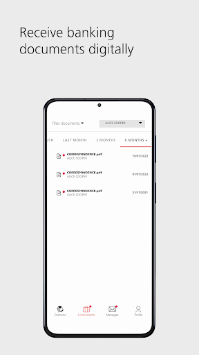 UBS WMJE: Mobile Banking Screen 2