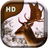 Forest Friends  Live Wallpaper icon