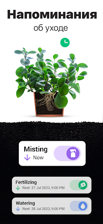 Game screenshot Plantum・Распознавание растений apk download