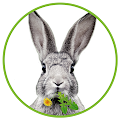 Download Dein Kaninchen Kr uterguide v3.2.4 Apk for android