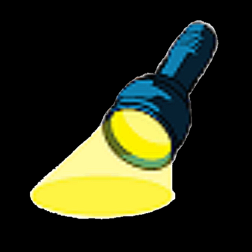 Progwhiz Flashlight  Icon