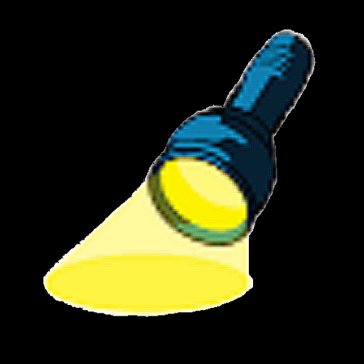 Progwhiz Flashlight logo