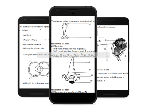 Biology Topical QA Form1- 4