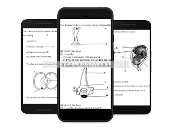 Biology Topical Q+A Form1- 4 poster 8