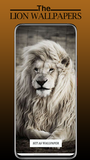 Lion Wallpaper, Sher Ka Photo Screen 3
