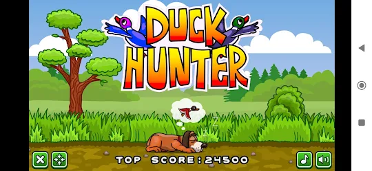 Ducks Hunter Game