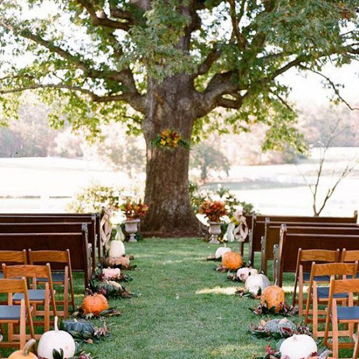 Outdoor Wedding Decor logo