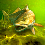Cover Image of Download My Fishing World  APK