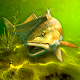 My Fishing World - Pesca real Descarga en Windows