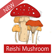 Medicinal mushrooms - Reishi