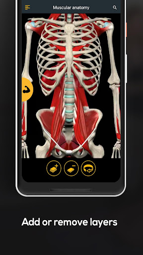 Screenshot of Anatomy by Muscle & Motion