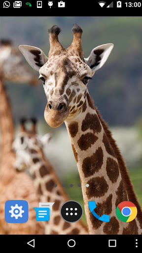 giraffe wallpaper Screen 2