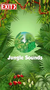 Jungle Sounds Effects 3D
