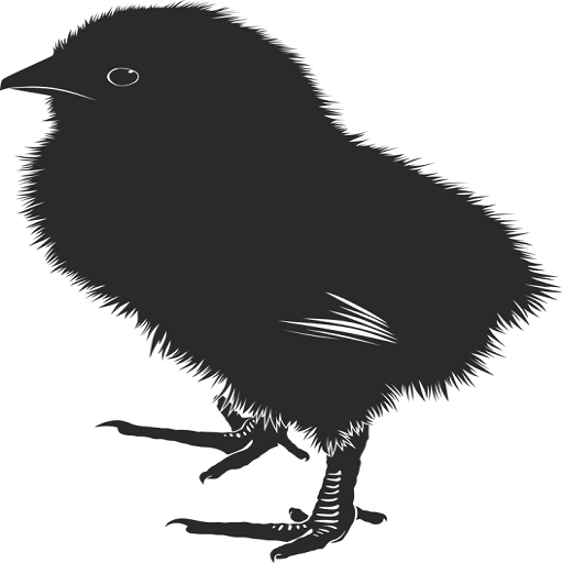 Baby Chick Sound logo