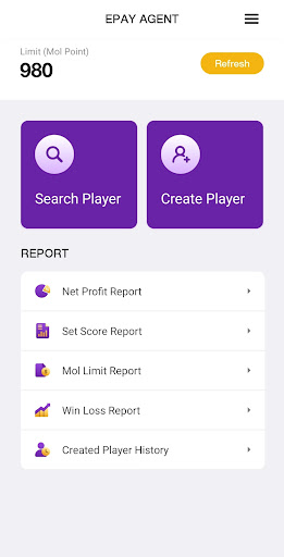 ePay Agent Screen 2
