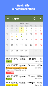 vérnyomás naptár)
