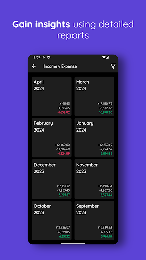 Lumy for YNAB - Charts & Data 4